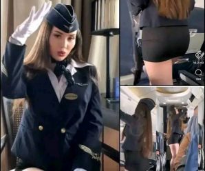 🔴 INCREÍBLE lo sucedido en esta aerolínea: Azafata desata la…