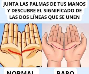 Descubre el Significado de las Líneas en las Palmas de tus Manos