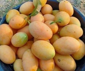 8 Beneficios de Comer un Mango al Día que No Conocías