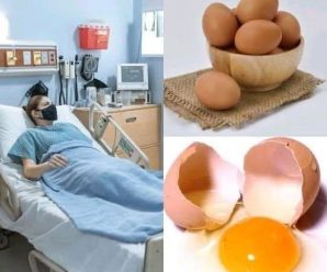 Si usted come Huevos todos los días, esto es lo que le ocurrirá a su cuerpo