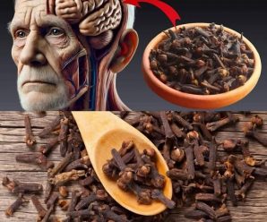 Los Increíbles Beneficios de Comer Solo 2 Clavos de Olor al Día: Descúbrelos