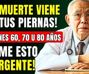 ¡Tus Piernas se DEBILITAN PRIMERO! Caminar NO es la Solución: Fortalece Tus Piernas ASÍ