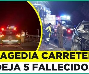 Tragedia en la Ruta del Itata: Accidente deja cinco fallecidos y cinco personas en estado grave