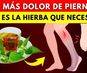 DESCUBRE 5 HIERBAS PARA RECUPERAR TUS PIERNAS RÁPIDAMENTE