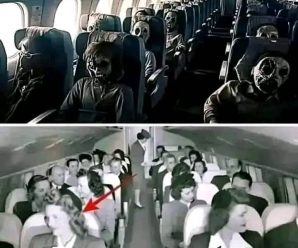 Avión con 92 pasajeros logra aterrizar 20 años después, cuando abrieron…Ver Más