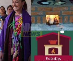 Requisitos para Nuevo Programa Estufas del Bienestar: ¿Cómo Solicitar Apoyo Gratis en 2025?
