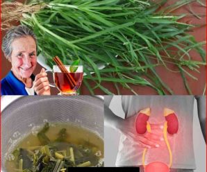 Una medicina herbaria confiable para el bienestar digestivo