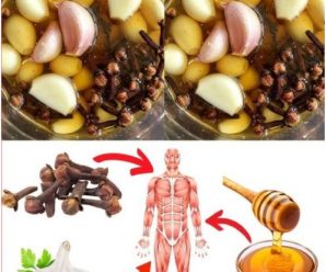 Remedios Naturales con Ajo, Miel y Clavos de Olor: Beneficios y Recetas Caseras