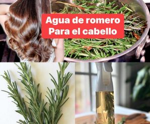 HERVIR 5 RAMAS DE ROMERO, TE LIBRARÁS DE UN MOLESTO PROBLEMA