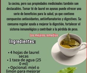 Beneficios del Té de Laurel y Guayaba: Una Infusión Natural para la Salud