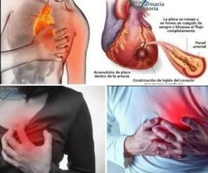 Yo sé todo lo que hay detrás del caso de ROCHY RD