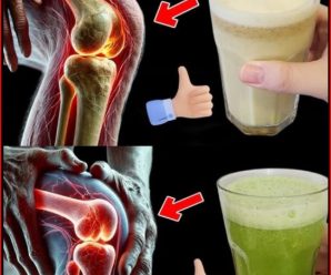 El jugo que fortalece tus huesos y elimina el dolor de rodillas