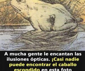 LAS ILUSIONES ÓPTICAS: UN RETO VISUAL QUE DESAFÍA NUESTRA PERCEPCIÓN Y AGUDIZA NUESTRO CEREBRO