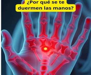 ¿Mala circulación? ¿Manos y pies fríos? Aprende como identificar una mala circulación y como tratarla.