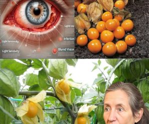 Goldenberries (Physalis peruviana): Una superfruta rica en nutrientes para mejorar tu salud, visión y más