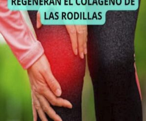 ¿Sufres de dolor de rodillas y articulaciones? Coloque una hoja de repollo en la zona afectada y pare de sufrir.