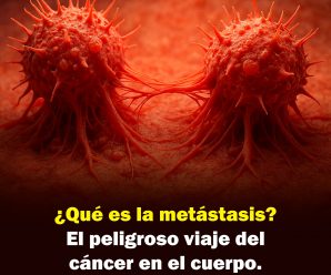 ¿Qué es la metástasis? El peligroso viaje del cáncer en el cuerpo.