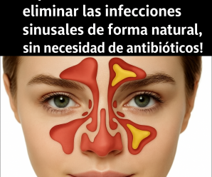 Los Mejores Remedios Caseros Para la Infección Sinusal
