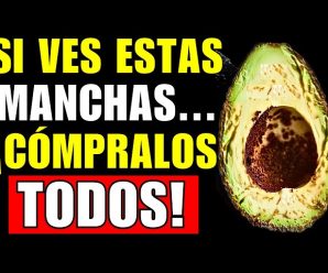 Si tu AGUACATE tiene estas MANCHAS… ¡NO LO TIRES!