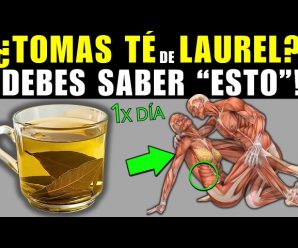 ¡ESTO HACE! 1 TAZA de TÉ de LAUREL AL DÍA (Cómo Tomarlo)