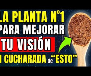 Come una de estas 7 potentes HIERBAS para MEJORAR LA VISIÓN