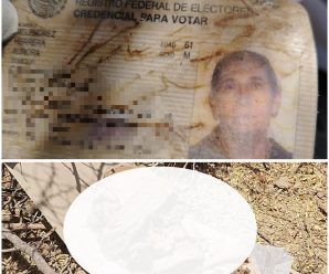 Alexia y Ulises fueron reportados como desaparecidos; hallaron sus INE junto a seis cuerpos en fosa clandestina