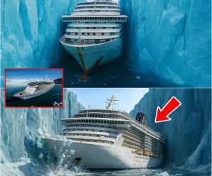 ¡Un crucero desaparecido en el año 2000 fue hallado congelado entre icebergs en un descubrimiento escalofriante!