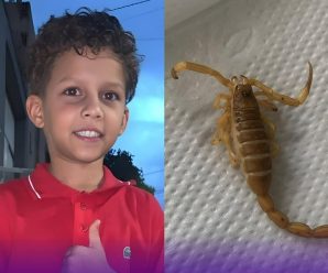 Niño de 7 pierde la vida por picadura de escorpión, lo grande es donde se encontraba el escorpión cuando le picó, nadie se lo imaginaba que ese insecto se subiría ahí
