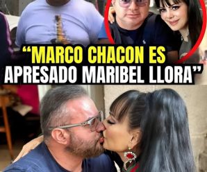 A Los 59 Años Finalmente Se Reveló El Oscuro Misterio Entre Maribel Guardia Y Marco Chacón