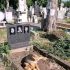 Pensaron que este perro estaba de luto por su dueño hasta… Ver mas