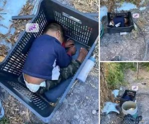Este niño de aproximadamente de 2 años fue encontr… Ver más