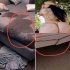 Las MUJERES que hacen esto son las más… Ver más