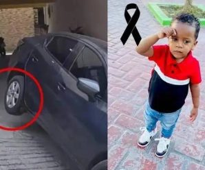 Su padre daba reversa con un vehículo, pero cuando miro era tarde😭… Ver más