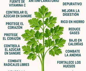 Beneficios del perejil..ver mas