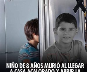 NIÑO DE 8 AÑOS MURIÓ AL LLEGAR A CASA Y ABRIR LA NEVERA… Ver más
