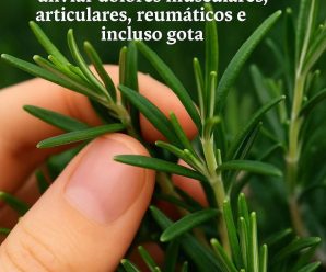 LE LLAMAN LA “MORFINA NATURAL” Usada tradicionalmente para aliviar dolores musculares, articulares, reumáticos e incluso gota..ver más
