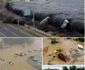 Terremoto de magnitud 9.1 causa también un Maremoto en la ciudad de… Ver más