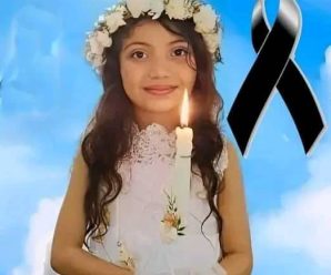Cuánta tristeza 😭 acaba de fa4llec3r esta hermosa criatura que fue alcanzada por una bal… Ver más