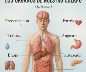 Así dan las emociones a los órganos de nuestro cuerpo..ver más