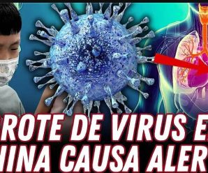 Nuevo y peligroso virus azota China ¿Qué es el HMPV?