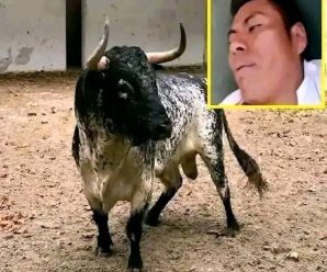 El Toro le hizo un h0y0 en el p3ch0 que no vas a soportar v3r Tenemos la …. Ver más