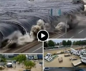 Terremoto de magnitud 9.1 causa también un Maremoto en la ciudad de… Ver más