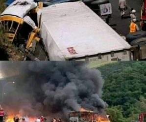 🕊LUTO nacional acaba de ocurrir accidente masivo que deja 40…Ver más