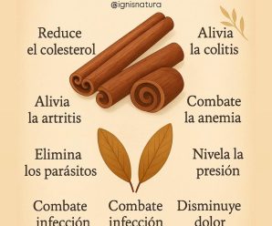 Cómo Hacer Aceite de Canela Casero y Descubre sus