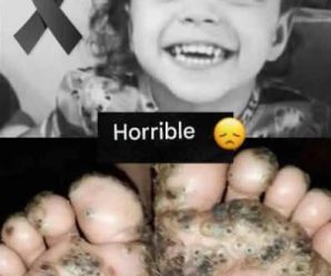 Niña de 3 años muere después del ataque animal a pie… Ver más
