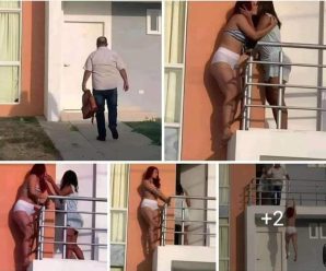 🚨INÉDITO🚨😱NUNCA SE LO IMAGINÓ: Las cámaras de seguridad captaron a su… Ver más