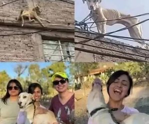 Sus ojos ya no pedían ayuda solo esperaba el fina…Ver más