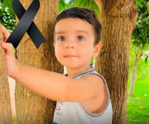 Directora se olvidó a un nene de 2 años en el auto y falleció: la excusa insólita que puso