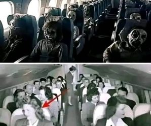 Avión con 92 pasajeros logra aterrizar 20 años después, cuando abrieron…Ver Más