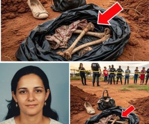 La libreta roja de la muerte: El diario de una profesora desaparecida expone el terrible secreto del delegado y su cómplice millonario